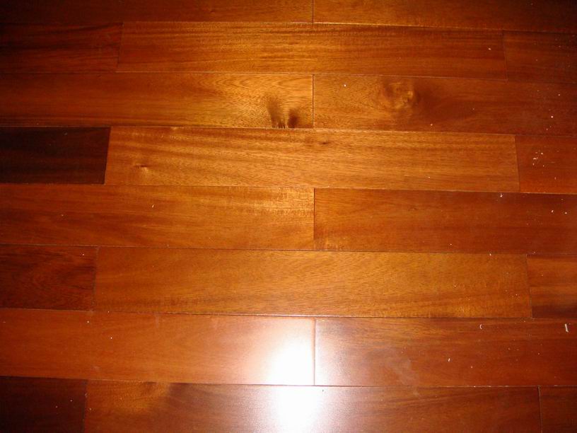 �w�����,���_�غ�ľ�ذ��Ԕ����B