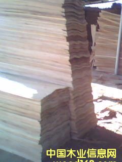 ���һ��(j��)�ΰ��Ԕ��(x��)��B