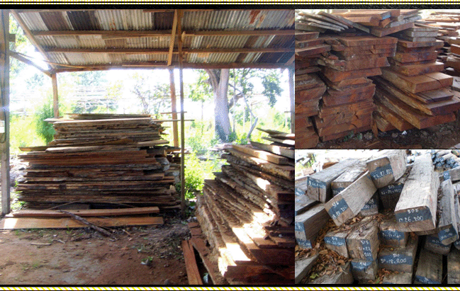 �c���鿴��ֺ�S̴����t��֦���Ŵ�DƬ