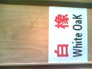 �c���鿴����ľ��ķŴ�DƬ