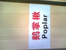 �c���鿴�Z��鱷Ŵ�DƬ
