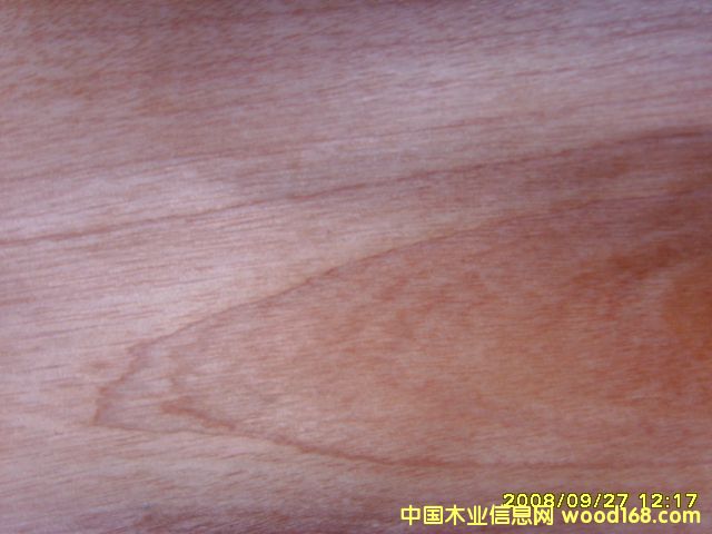 ľƤ��Ԕ����B