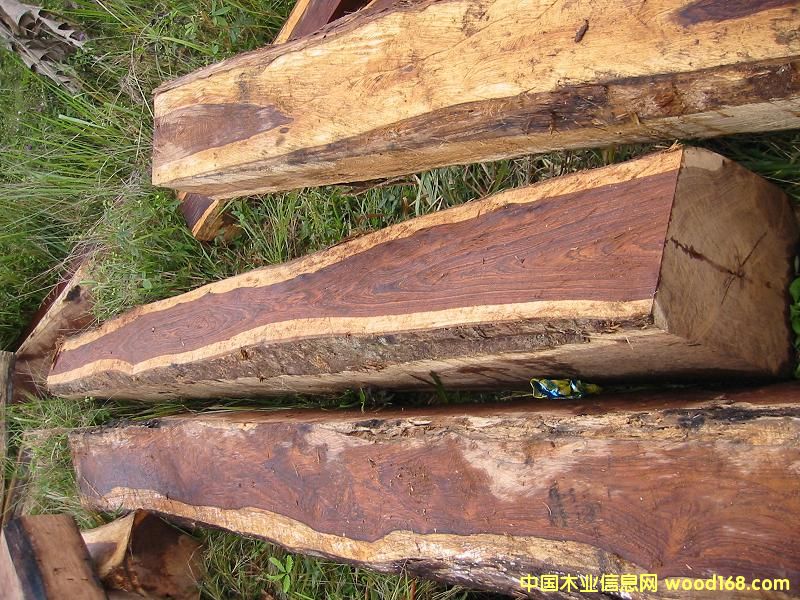 ��֦ľ��Ԕ����B