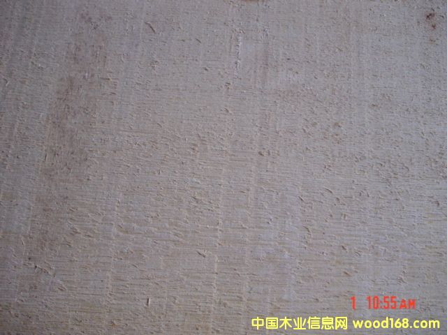 ������ľ