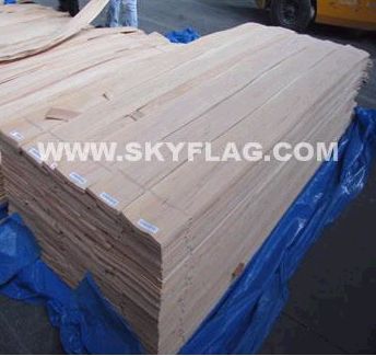 ������ҼҾ��ϴ��N         �{(l��n)�����