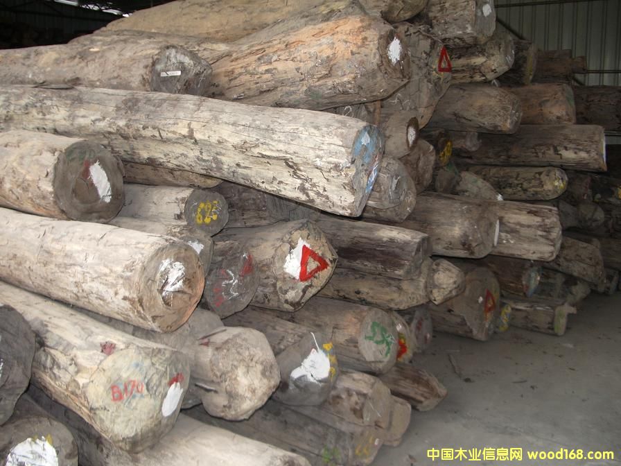 ���~��̴��Ԕ����B