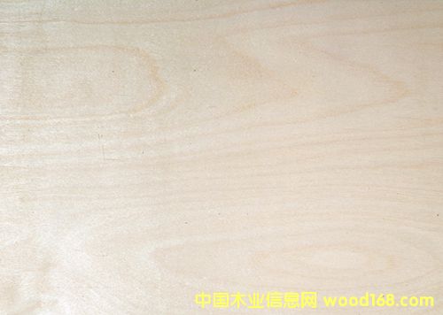 �ט��Ԕ����B