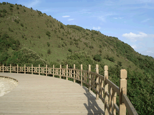 ����ľ��Ԕ����B