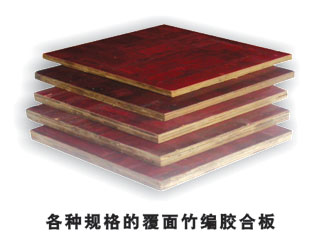 ����ģ���Ԕ����B