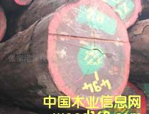 ��W�S��Niove��Ԕ����B