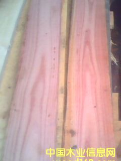 �t��ľ��Ԕ����B