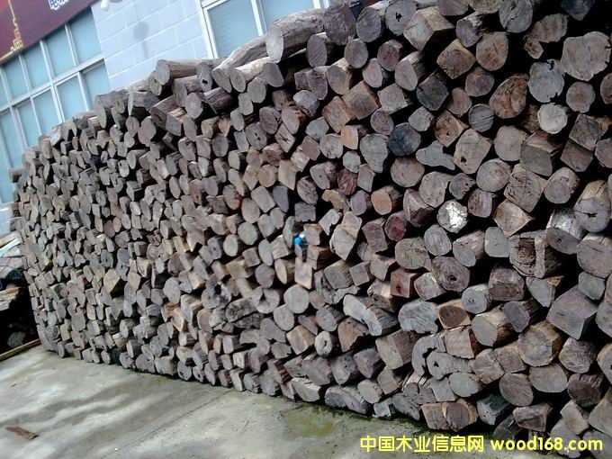 �ϓ��t��֦���ϼtľ����Ԕ����B