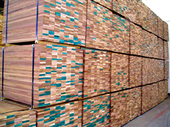 �c(di��n)���鿴�ذ��ϷŴ�DƬ