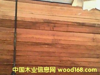 ����ɳ����