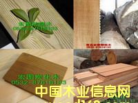 ɽ�|����ľ������ľ�����}���Ԕ��(x��)��B