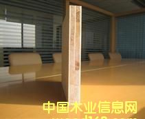 �����ƺ�о��ľ�T�����T�װ�ϵ�� ��Ԕ����B