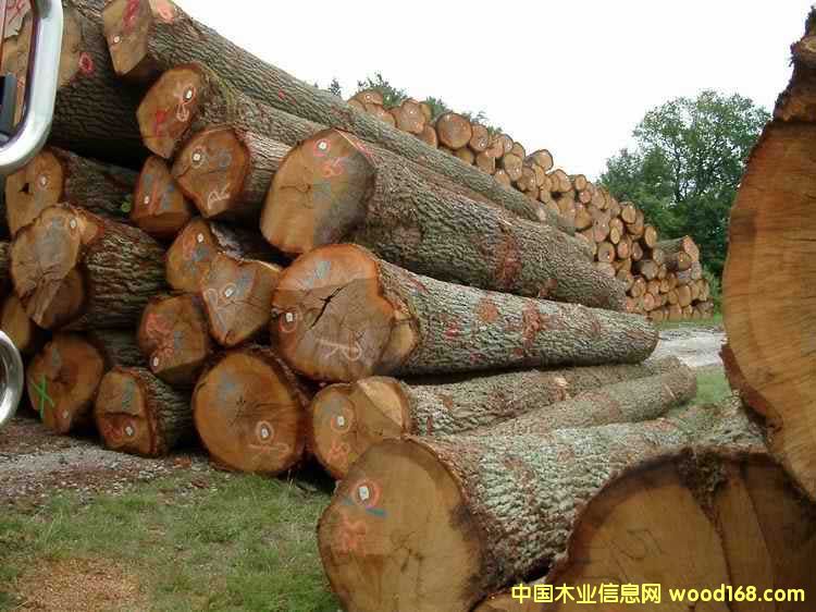 �W�ް���ԭľ