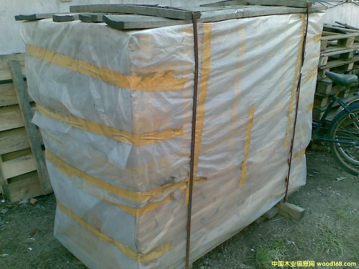 �c���鿴��ľ0.5mmС�ϷŴ�DƬ