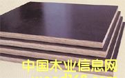 �c���鿴����ģ��-��Ĥ�Ŵ�DƬ