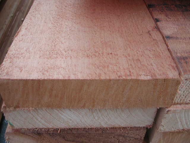 �tѩ����ĵ�Ԕ����B