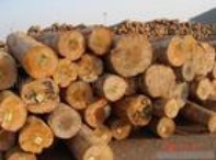 ���ޣ������mݗ����ԭľ��Ԕ��(x��)��B