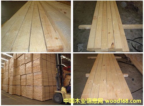 �����ɰ�ĵ�Ԕ����B