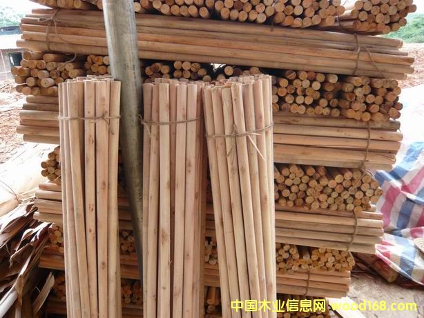 ��ľľ�ĵ�Ԕ����B