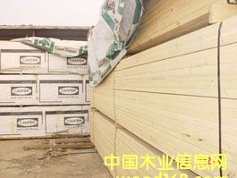 �c���鿴������SPF��ķŴ�DƬ