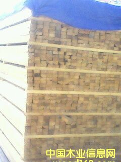 ��ľ��Ԕ����B