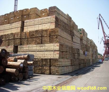 �M�ڰ���ľ����Ԕ����B