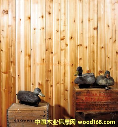 ɼľ�X�Ӱ壨���ɲĈD����Ԕ����B