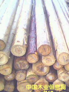 ɼԭľ3��Ԕ��(x��)��B