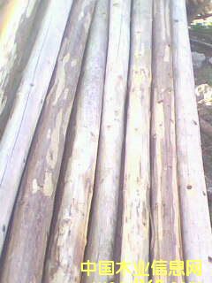 ɼԭľ��Ԕ��(x��)��B