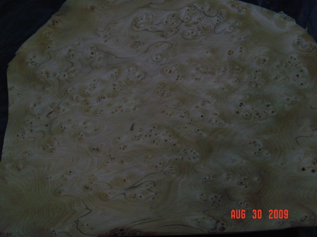 ɼľȸ�۵�Ԕ����B