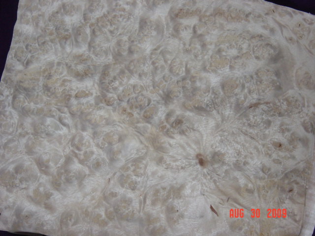 ɽ�����Ԕ����B