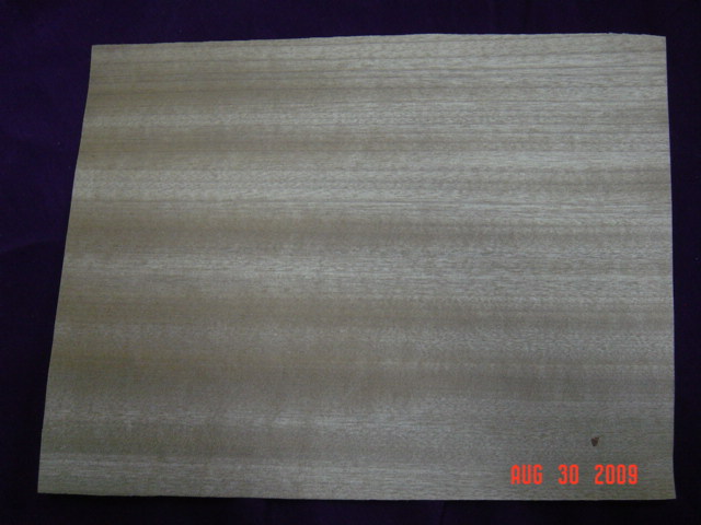 ��z��ľƤ��Ԕ����B