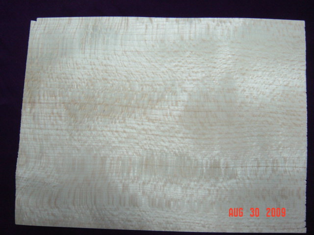 ����˹��Ԕ����B