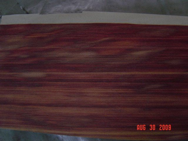 �t��֦��Ԕ����B