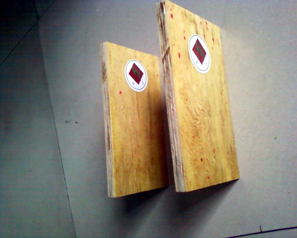 ����ģ���Ԕ����B