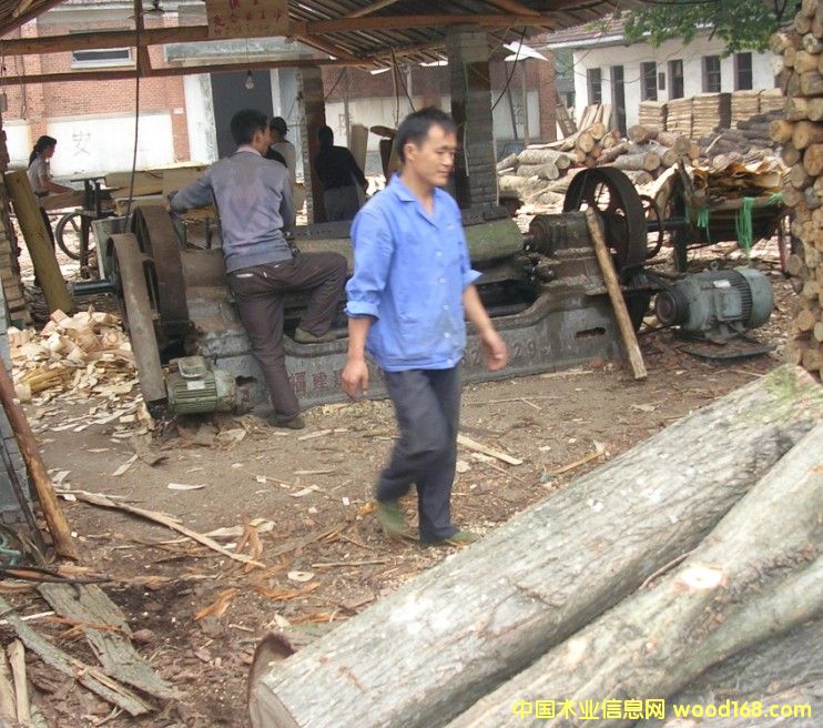 ������Ԕ��(x��)��B