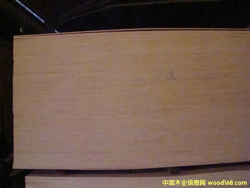 ���N��̖���Ӱ��Ԕ����B