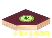 �R������塪���ϵ�Ԕ����B