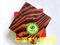 ��ľ���ˮģ���Ԕ����B