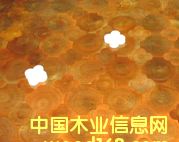 �c���鿴��ľ���ɲŷŴ�DƬ