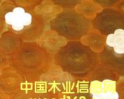 �c���鿴��ľ���ɲŷŴ�DƬ