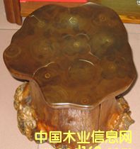 �c���鿴��ľ���ɲŷŴ�DƬ