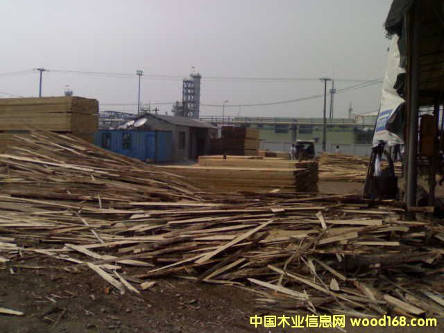 ݗ���ɡ������m.ݗ���ɡ������ɡ����~�ɵ�Ԕ��(x��)��B