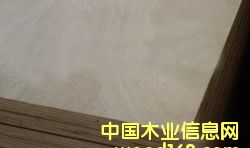 �����z�ϰ��Ԕ����B