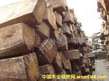 ������ľ����Ԕ��(x��)��B