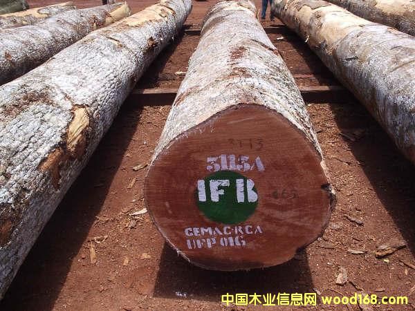 ������ԭľ��aniegre)